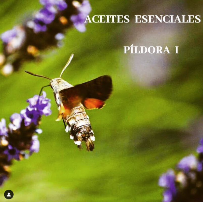 Aceites Esenciales Pildora 1